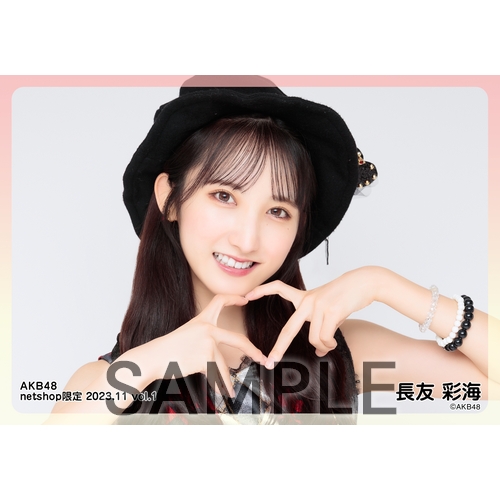 予約商品】AKB48 2023年11月度 net shop限定個別生写真5枚セットvol.1