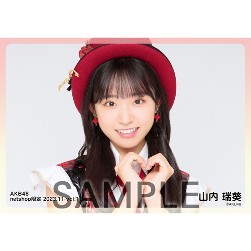 国内外の人気集結！ 予約商品】AKB48 2023年11月度 net shop限定個別生写真5枚セット アイドル