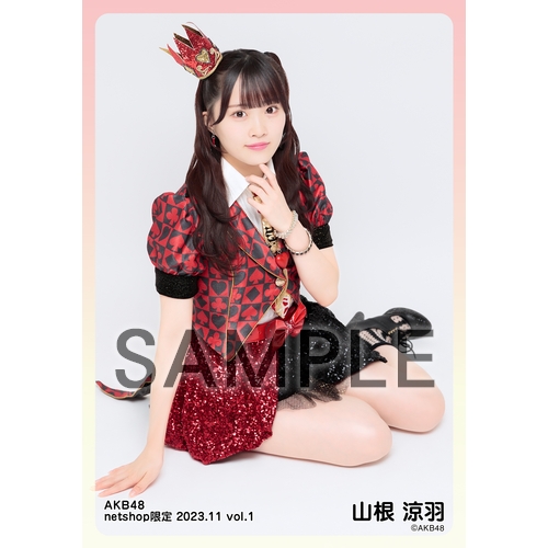 予約商品】AKB48 2023年11月度 net shop限定個別生写真5枚セットvol.1 