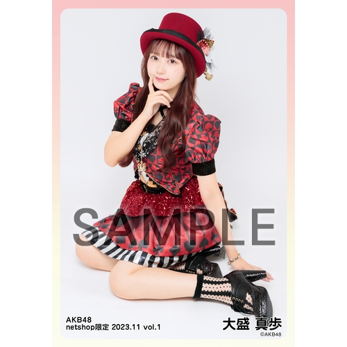 AKB48 月別、トレ大、BLT 生写真 【バラ売り可】 AKB48 月別、トレ大、BLT 生写真 【バラ売り可】