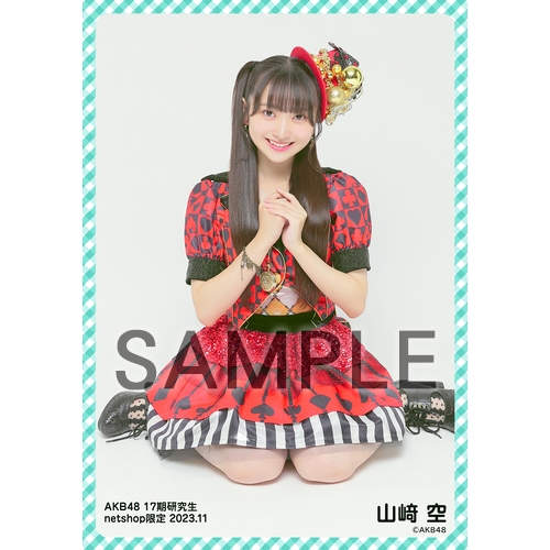 予約商品】AKB48 17期研究生 2023年11月度 net shop限定個別生写真5枚