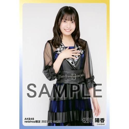 AKB48　ブランケット 2025年最新】Yahoo!オークション -ブランケット デニム(AKB48)の