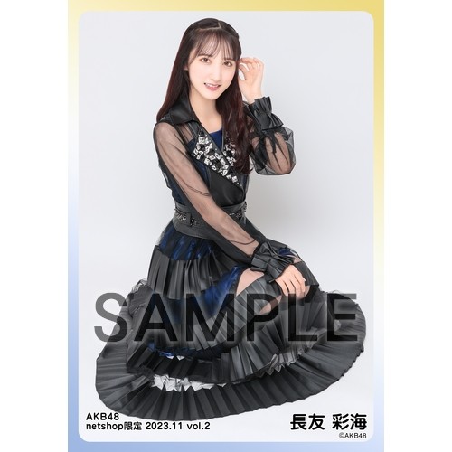 予約商品】AKB48 2023年11月度 net shop限定個別生写真5枚セットvol.2