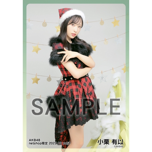 予約商品】AKB48 2023年12月度 net shop限定個別生写真5枚セット