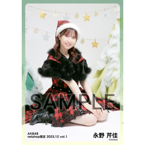 予約商品】AKB48 2023年12月度 net shop限定個別生写真5枚セットvol.1