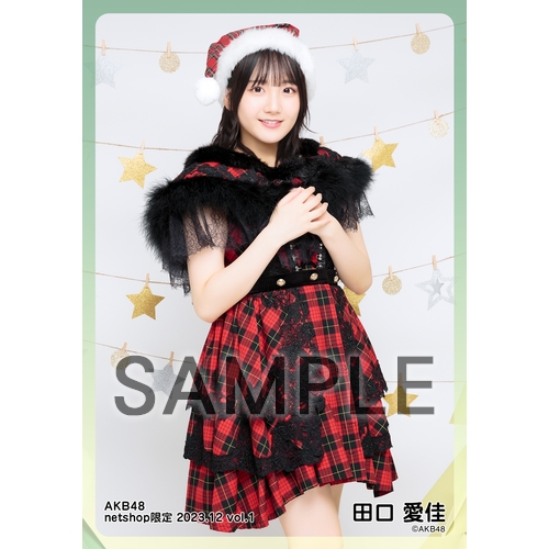 予約商品】AKB48 2023年12月度 net shop限定個別生写真5枚セットvol.1