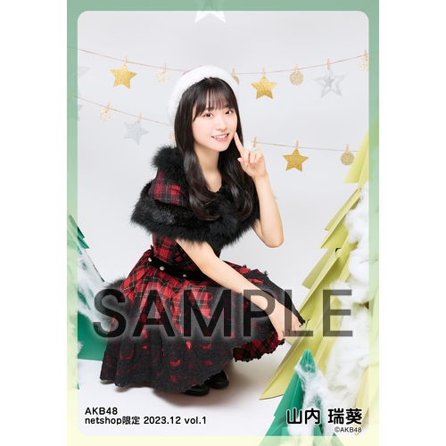 予約商品】AKB48 2023年12月度 net shop限定個別生写真5枚セットvol.1