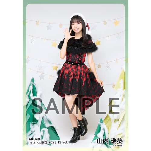 予約商品】AKB48 2023年12月度 net shop限定個別生写真5枚セットvol.1