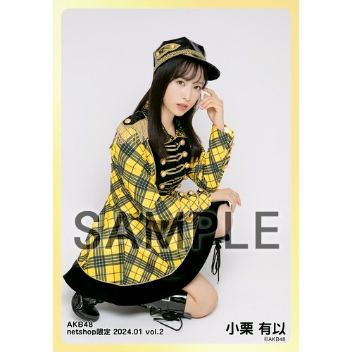 予約商品】AKB48 2024年1月度 net shop限定個別生写真5枚セットvol.2