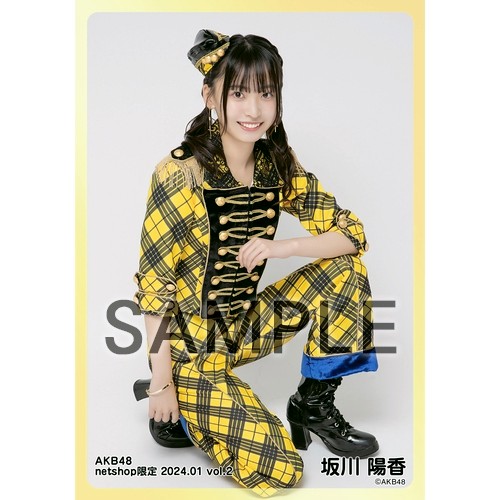 予約商品】AKB48 2024年1月度 net shop限定個別生写真5枚セットvol.2