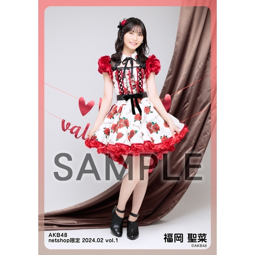 予約商品】AKB48 2024年2月度 net shop限定個別生写真5枚セットvol.1