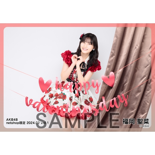 予約商品】AKB48 2024年2月度 net shop限定個別生写真5枚セットvol.1