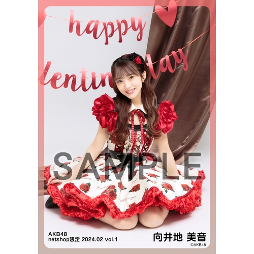 予約商品】AKB48 2024年2月度 net shop限定個別生写真5枚セット
