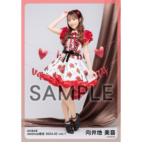 予約商品】AKB48 2024年2月度 net shop限定個別生写真5枚セットvol.1