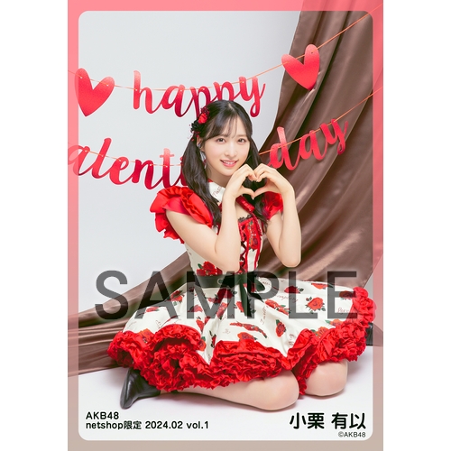 予約商品】AKB48 2024年2月度 net shop限定個別生写真5枚セットvol.1
