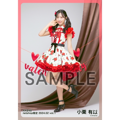 予約商品】AKB48 2024年2月度 net shop限定個別生写真5枚セットvol.1