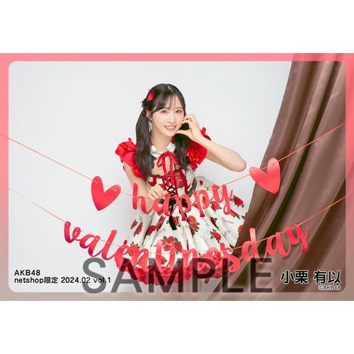 予約商品】AKB48 2024年2月度 net shop限定個別生写真5枚セットvol.1