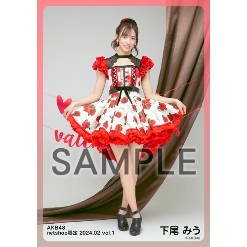 予約商品】AKB48 2024年2月度 net shop限定個別生写真5枚セットvol.1