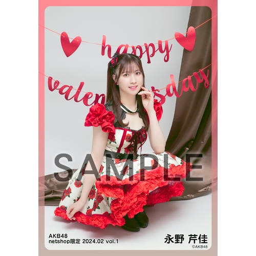 予約商品】AKB48 2024年2月度 net shop限定個別生写真5枚セットvol.1
