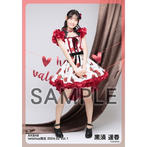予約商品】AKB48 2024年2月度 net shop限定個別生写真5枚セットvol.1
