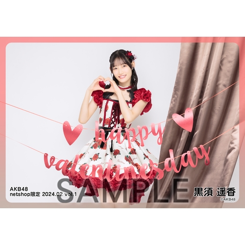 予約商品】AKB48 2024年2月度 net shop限定個別生写真5枚セットvol.1
