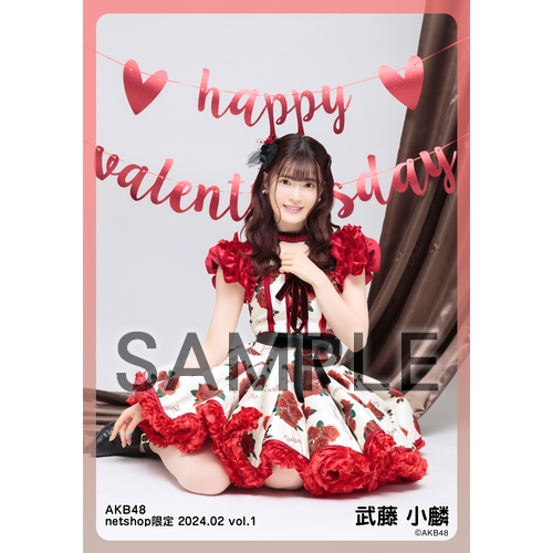 予約商品】AKB48 2024年2月度 net shop限定個別生写真5枚セットvol.1
