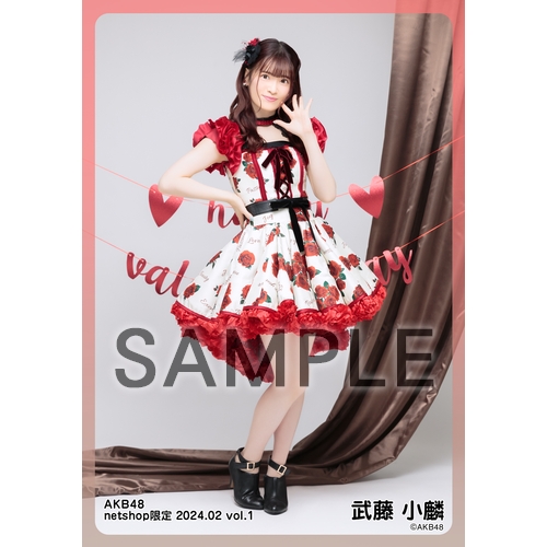 岡部麟 AKB48 チェキ風生写真 2024年1・2・3・4月 4種セット 岡部麟 AKB48 チェキ風生写真 2024年1・2・3・4月 4種セット