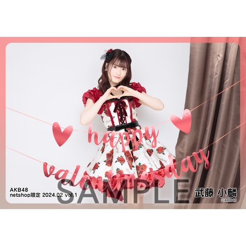 予約商品】AKB48 2024年2月度 net shop限定個別生写真5枚セットvol.1