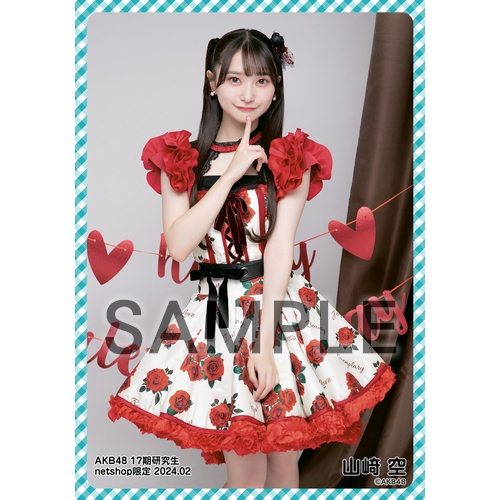 AKB48グループ 生写真 予約商品】AKB48 17期研究生 2024年2月度 net shop限定個別生写真5枚