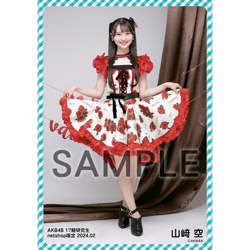 S出品 AKB48グッズ 予約商品】AKB48 17期研究生 2024年2月度 net shop限定個別生写真5枚