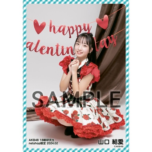 予約商品】AKB48 18期研究生 2024年2月度 net shop限定個別生写真5枚