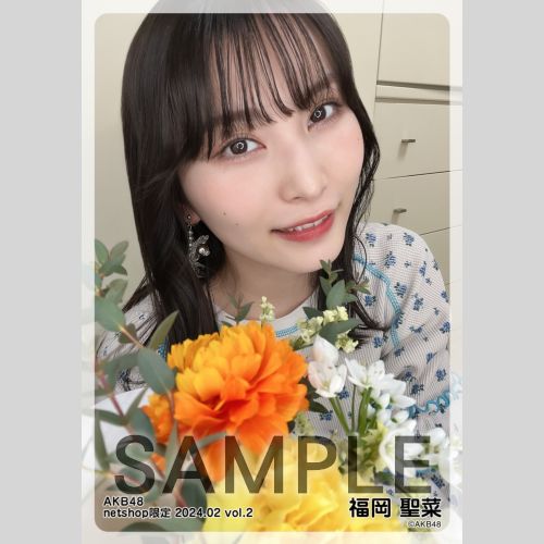 予約商品】AKB48 2024年2月度 net shop限定個別生写真5枚セットvol.2