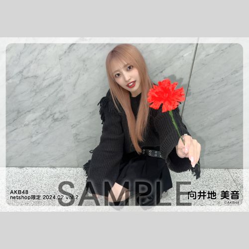 【即購入ok】向井地美音　AKB48 4月ランダム生写真 　 5種コンプ 向井地美音 AKB48 生写真 5枚コンプ 116 - メルカリ