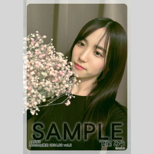 予約商品】AKB48 2024年2月度 net shop限定個別生写真5枚セットvol.2