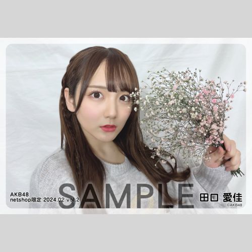 予約商品】AKB48 2024年2月度 net shop限定個別生写真5枚セットvol.2