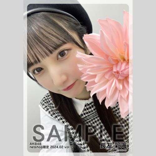 予約商品】AKB48 2024年2月度 net shop限定個別生写真5枚セット