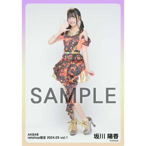 予約商品】AKB48 2024年3月度 net shop限定個別生写真5枚セットvol.1