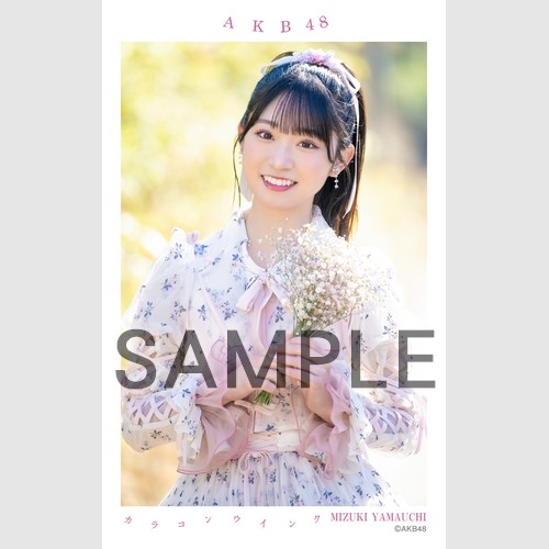 予約商品】AKB48 net shop限定 63rd Single 選抜記念ハーフサイズ個別