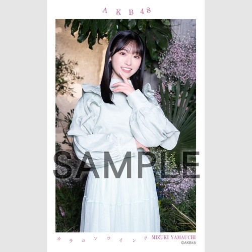 AKB48 生写真 セット 約300枚 予約商品】AKB48 net shop限定 63rd Single 選抜記念ハーフサイズ個別