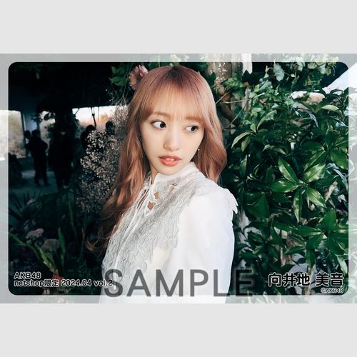 予約商品】AKB48 2024年4月度 net shop限定個別生写真5枚セット