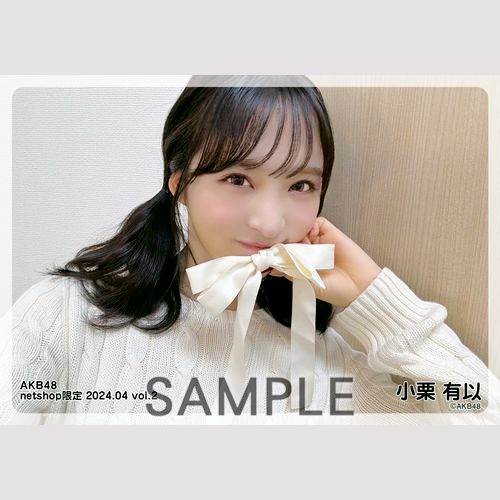 予約商品】AKB48 2024年4月度 net shop限定個別生写真5枚セットvol.2