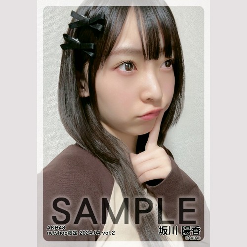 予約商品】AKB48 2024年4月度 net shop限定個別生写真5枚セットvol.2