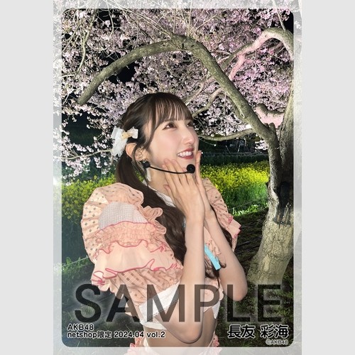 予約商品】AKB48 2024年4月度 net shop限定個別生写真5枚セットvol.2
