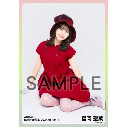 予約商品】AKB48 2024年5月度 net shop限定個別生写真5枚セットvol.1