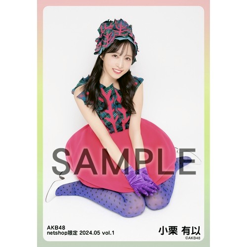 AKB48まとめ売りALL300～ 予約商品】AKB48 2025年1月度 net shop限定個別生写真5枚セット