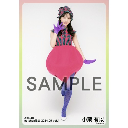 予約商品】AKB48 2024年5月度 net shop限定個別生写真5枚セット
