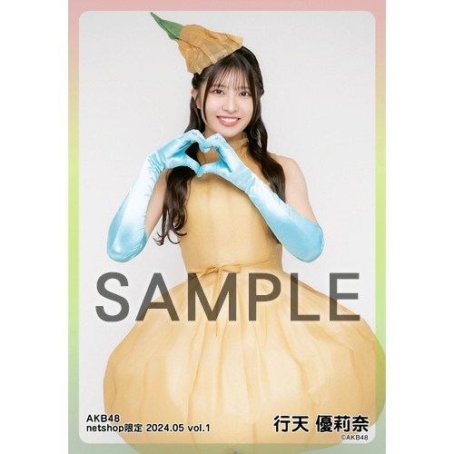 今話題のアイテムを 予約商品】AKB48 2024年5月度 shop限定個別生写真5枚セット net アイドル