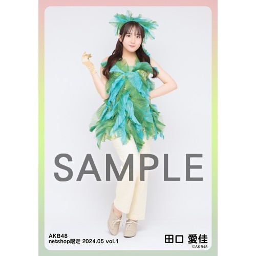 若者に人気のブランド 予約商品】AKB48 2024年5月度 net shop限定個別生写真5枚セット アイドル
