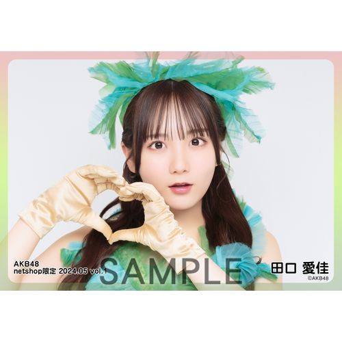 予約商品】AKB48 2024年5月度 net shop限定個別生写真5枚セット