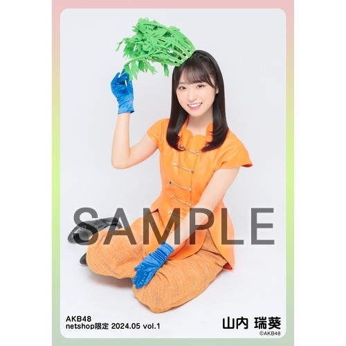 予約商品】AKB48 2024年5月度 net shop限定個別生写真5枚セット